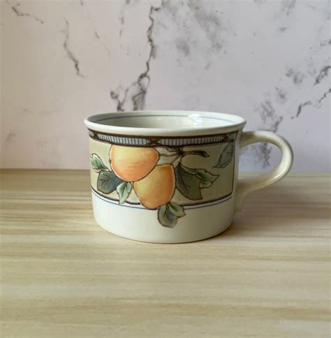 Mikasa Intaglio Garden Harvest Tea Cup And Saucer Cac Etsy