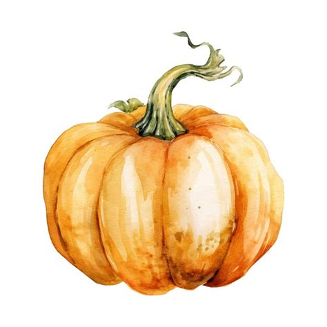 Ilustración de calabaza de acuarela elemento de diseño de alimentos