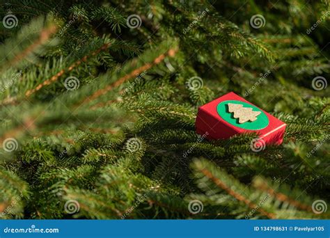 Mysterious Ts In A T Box On The Branches Of The Christmas Tree On