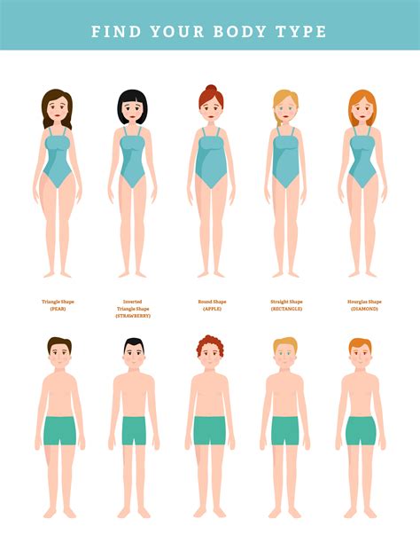 Male Body Types Chart Understanding The Weight Chart For Senior Males