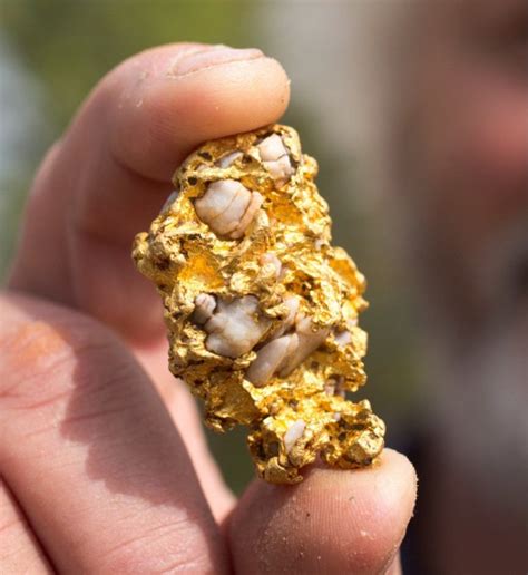 Britains Biggest Ever Gold Nugget Found On Welsh Beach Off Anglesey