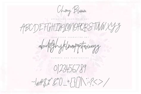 Cherry Blossom Script Stunning Script Fonts Creative Market