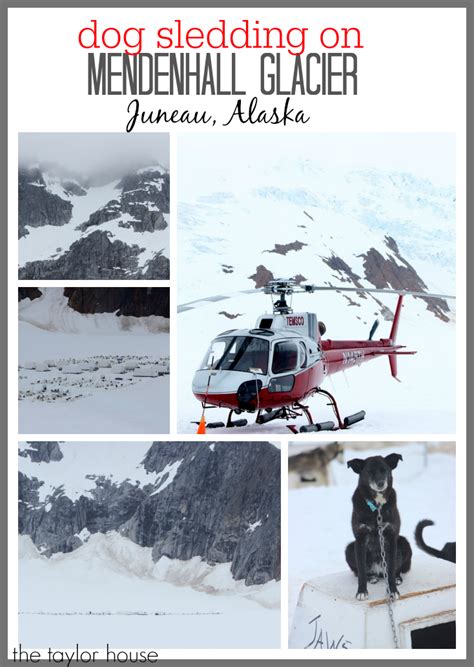 Trip Review: Juneau, Alaska | The Taylor House