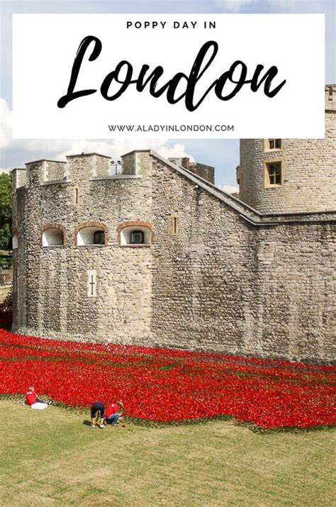 Poppy Day in London - A Guide to Remembrance Day in the UK Capital