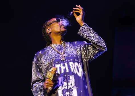 Snoop Dogg slammed by fans after vid confirms rapper's bid to 'quit smoking' was bizarre promo ...