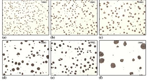 Microstructure Of Ductile Iron In Castings With Different Wall