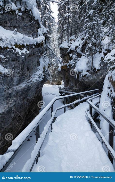 Winter In Johnston Canyon In Banff National Park Alberta Stock Photo