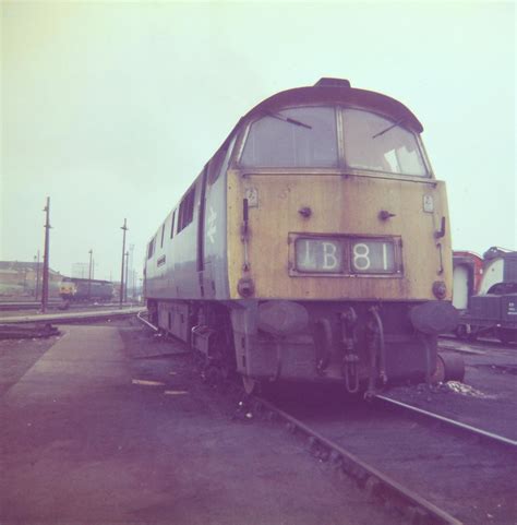 Class 52 D1015 Western Champion At Old Oak Common With A Flickr