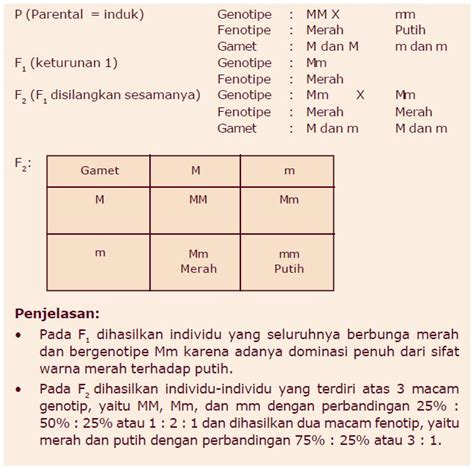 Contoh Persilangan Monohibrid Dan Dihibrid Berpendidikan