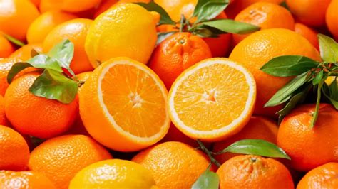 Les bienfaits sur la santé de l orange un fruit riche en vitamines et