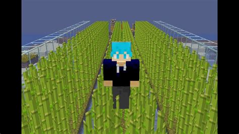 I Built A HUGE Sugarcane Farm In Hardcore Minecraft YouTube