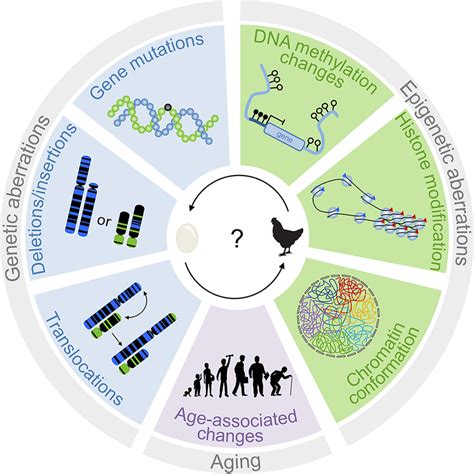 Interplay Of Genetic And Epigenetic Aberrations In Tumorigenesis The