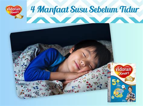 Cara Optimalkan Manfaat Minum Susu Sebelum Tidur Vidoran