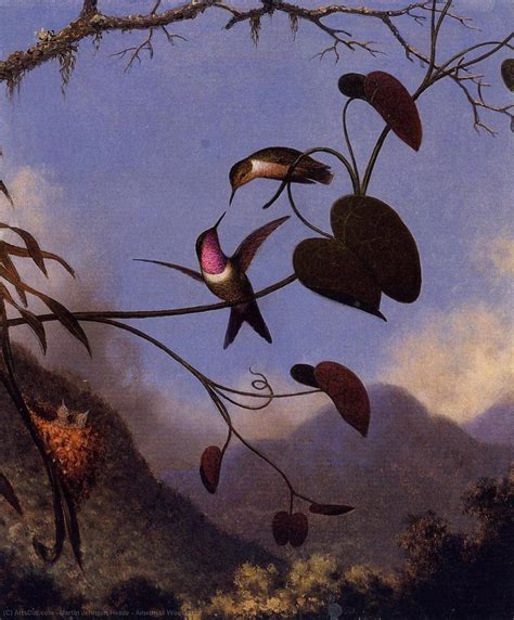 Reproducciones De Pinturas Amatista Woodstar De Martin Johnson Heade