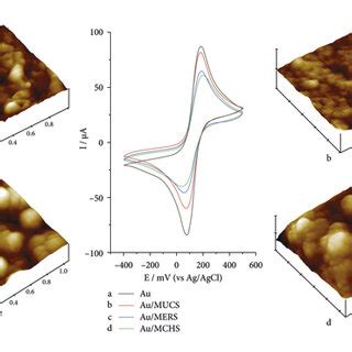 A Anodic Peak Current For Fe CN 6 3 4 Redox Probe Recorded At