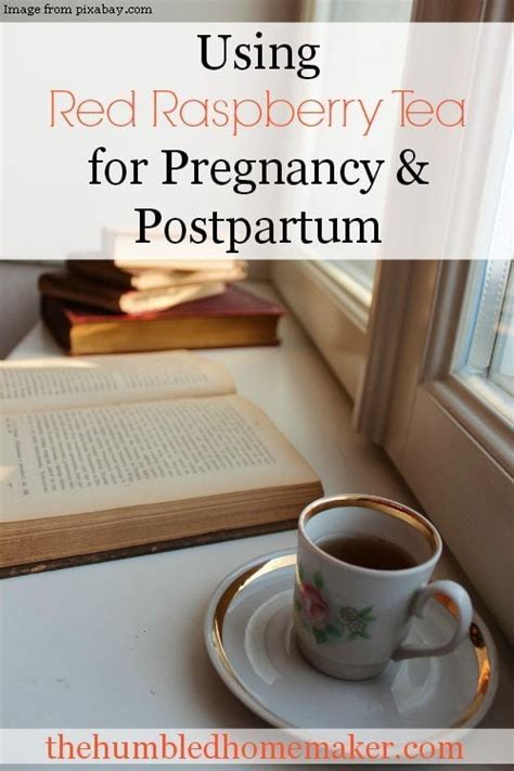 Using Red Raspberry Tea for Pregnancy & Postpartum {Red Raspberry Leaf ...