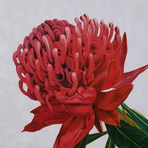 WARATAH PAINTING | Coastal Art Australia