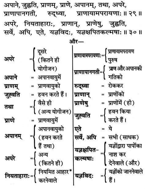 Bhagavad Gita Chapter 4 Verse 29-30 | Bhagavad Gita