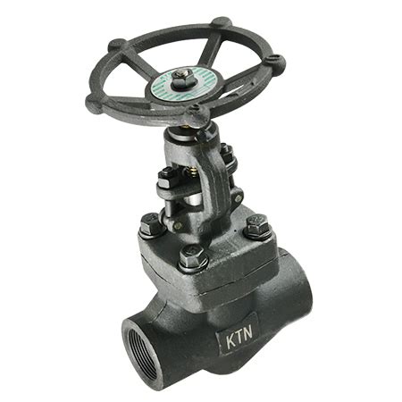 Forged Steel Npt Globe Valve For High Temperatures