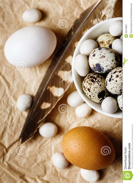 Fundo Do Alimento Ovos De Codorniz Imagem De Stock Imagem De