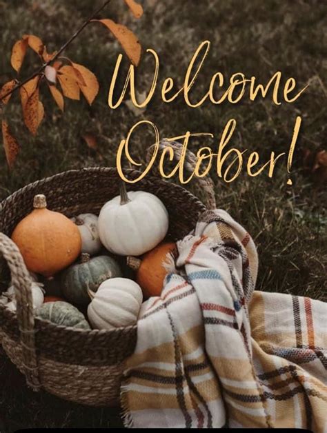 Pumpkin Basket - Welcome October! Pictures, Photos, and Images for Facebook, Tumblr, Pinterest ...