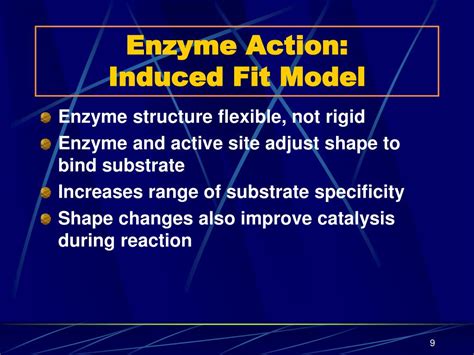 Ppt Enzymes Powerpoint Presentation Free Download Id 2065761