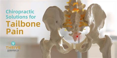 Chiropractic Solutions For Tailbone Pain What You Need To Know