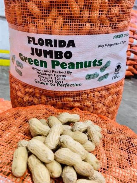 Were Nuts About These Peanut Farms In Florida Recipe In 2021