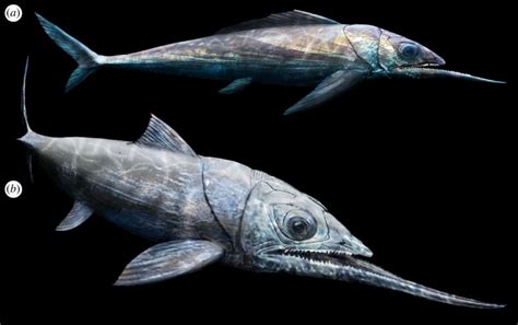 Terrifying 'ancient alien fish’ with ‘most extreme bite’ would ‘confuse, trap and devour' prey ...