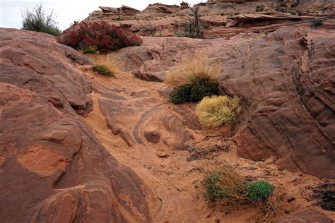 Glen Canyon Dam Overlook Page Arizona Sand Rock And Pla Flickr