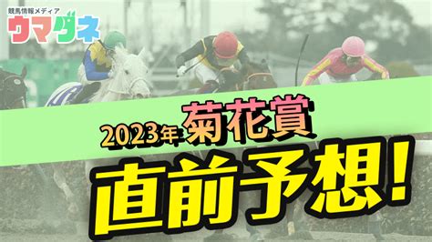 菊花賞2023の展開予想！出走予定馬や注目馬解説 ウマダネ