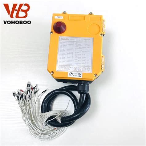 Industrial Remote Control F D Hoist Crane China Industrial Remote