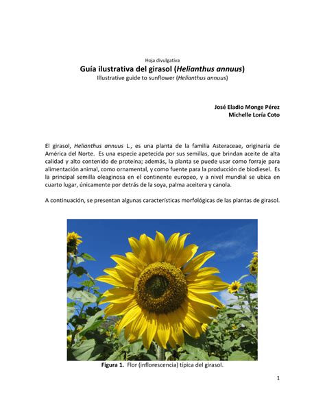 Total Imagen Caracteristicas De La Girasol Abzlocal Mx