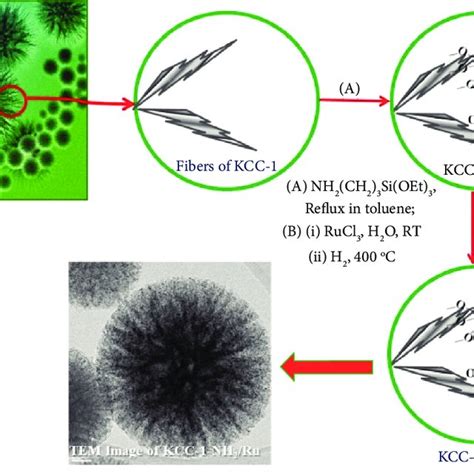 image  porous nanomaterial   modification   surface