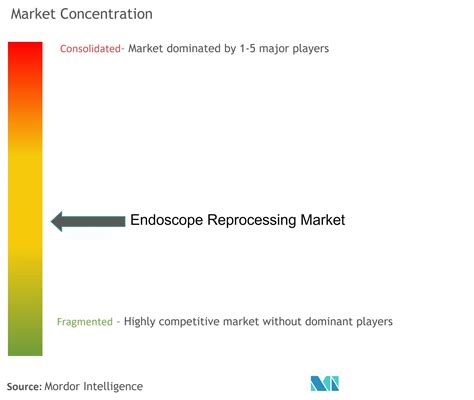 Endoscope Reprocessing Market Report Industry Analysis Size