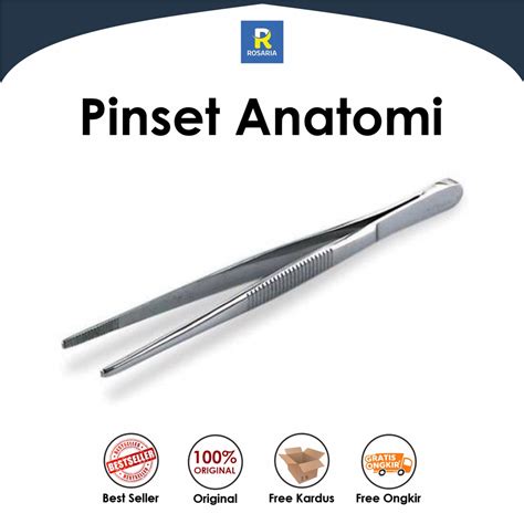 Jual Pinset Anatomis 14 Cm Stainless Steel Shopee Indonesia