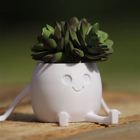 3d Printed Succulent Plant Pot Etsy