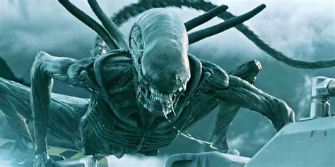 Ridley Scott's 'Alien - Covenant' Is So Damn Stupid - That's Why I Love It