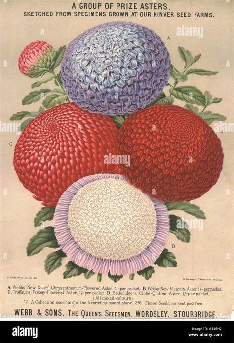 Seed Catalogue Vintage Hi Res Stock Photography And Images Alamy