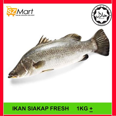 Ikan Siakap Fresh ±1kg Klang Valley Only Shopee Malaysia