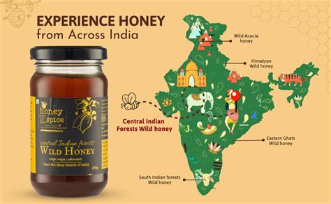 Honey And Spice Pure Raw Wild Honey 500g Single Origin Honey From