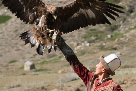 Nomadic Life Of Kyrgyz People Travel Land