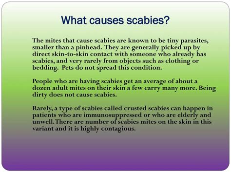 PPT - Scabies: Causes, Symptoms, Daignosis, Prevention and Treatment ...