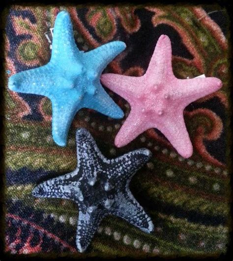 Resin Cast Starfish Hair Clip Etsy