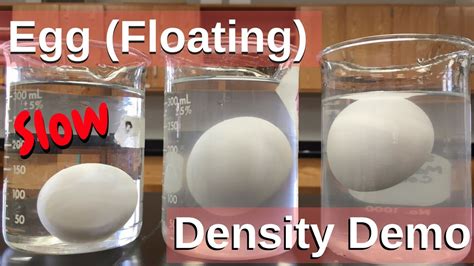 Density Experiment With Egg And Salt Water