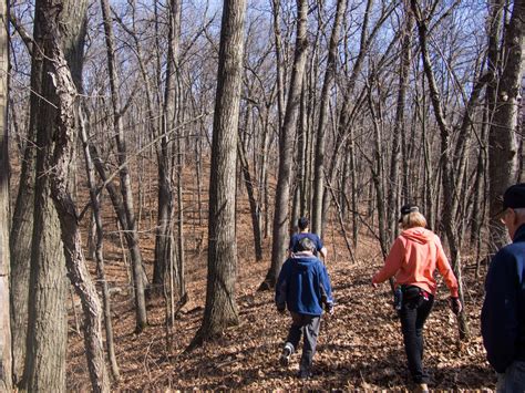 Hiking in Michigan: Where to Go and How to Start