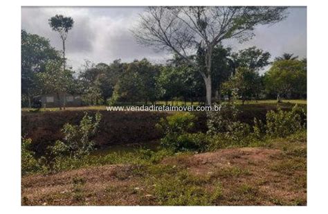 Fazenda Em Careiro Am Im Vel Venda Direta Im Vel