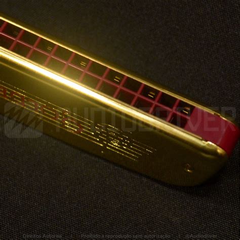 Harm Nica Golden Melody Em C D Hohner Audiodriver