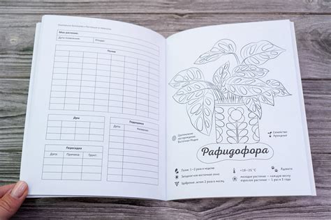 «Раскраска-трекер. Растущие в темноте» Кузнецова Екатерина ...