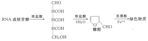 核酸的性质及研究技术解读生命化学挂云帆